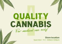 Quality Cannabis Plant Postcard Design