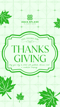 Elegant Thanksgiving Greeting TikTok Video Image Preview