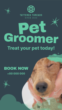 Professional Pet Groomer TikTok Video Image Preview