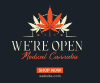 Healthy Cannabis Facebook post Image Preview