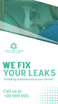 Best Plumbing Professionals Instagram Reel Preview