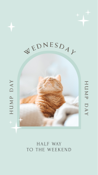 Wednesday Hump Day Instagram Story Design