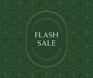 Anniversary Flash Sale Facebook post Image Preview