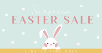 Peeking Easter Bunny Facebook ad Image Preview