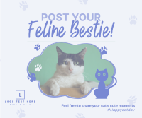 Cat Appreciation Post  Facebook Post Design