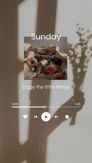 Sunday Music Player Instagram story Image Preview