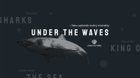 The Shark Week YouTube Banner Design