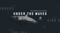 The Shark Week YouTube Banner Image Preview