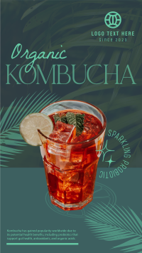 Organic Kombucha Instagram reel Image Preview