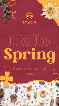 Hello Spring Facebook story Image Preview