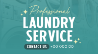 Professional Laundry Service Video Image Preview