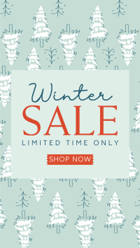 Winter Pines Sale Instagram Reel Preview