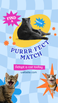 Adopt a Cat TikTok Video Image Preview