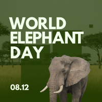 World Elephant Celebration Linkedin Post Image Preview