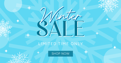 Winter Shopping  Sale Facebook ad Image Preview