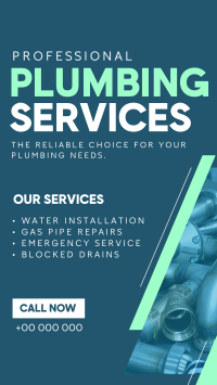 Expert Plumber Service TikTok Video Design