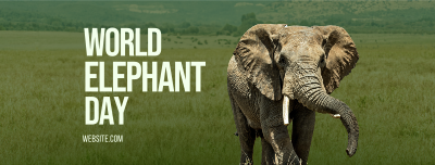 World Elephant Day Facebook cover Image Preview