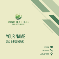 Botanical Leaf Spa Business Card Design