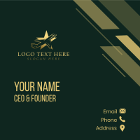 Airplane Star Aviation Business Card Design