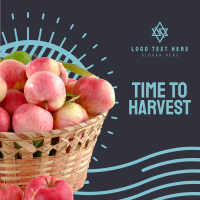 Harvest Apples Instagram post Image Preview
