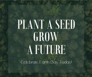 Plant Seed Grow Future Earth Facebook post Image Preview