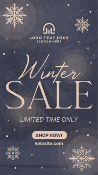 Winter Season Sale TikTok video Image Preview