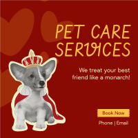 Pet Lounge Instagram post Image Preview