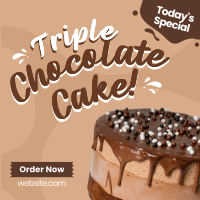 Triple Chocolate Cake Instagram post Image Preview