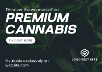 Premium Cannabis Postcard Image Preview