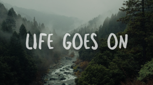 Life Goes On Video Image Preview