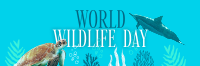 Aquatic Wildlife  Twitter header (cover) Image Preview