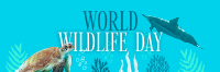 Aquatic Wildlife  Twitter Header Image Preview