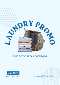 Laundry Delivery Promo Flyer Image Preview