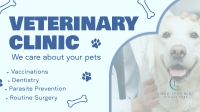Professional Veterinarian Clinic Animation Preview