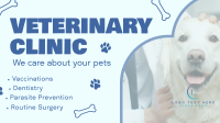 Professional Veterinarian Clinic Animation Image Preview