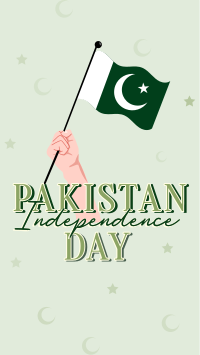 Pakistan's Day Instagram story Image Preview