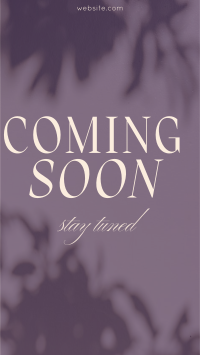 Luxury Stay Tuned TikTok video Image Preview