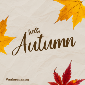 Autumn Leaves Instagram post Image Preview