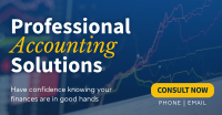 Professional Accounting Solutions Facebook ad Image Preview