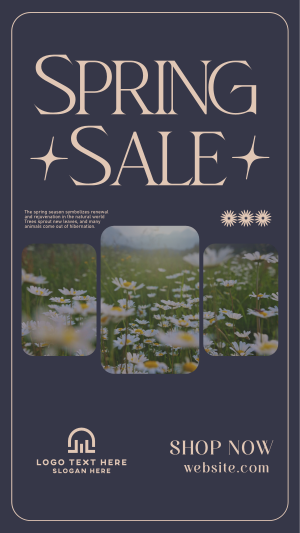 Spring Time Sale Instagram story Image Preview