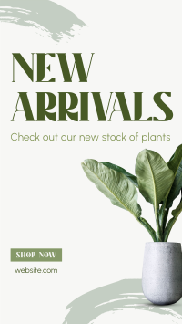 Minimalist Plant Alert Facebook story Image Preview