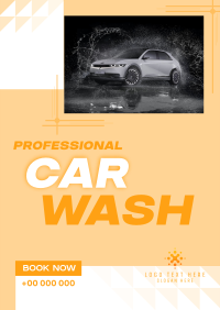 Professional Car Wash Services Poster Image Preview
