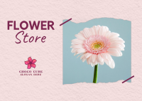 Flower Store Postcard Image Preview
