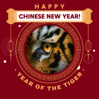 Year of the Tiger 2022 Instagram Post Design
