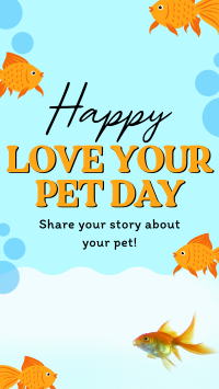Bubbly Pet Day Instagram Reel Design