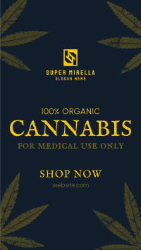 Cannabis Cures Facebook Story Design