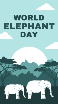 Amazing Elephants Facebook Story Design