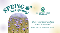 Spring Delicate Animation Preview