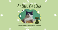 Cat Appreciation Post Facebook Ad Design