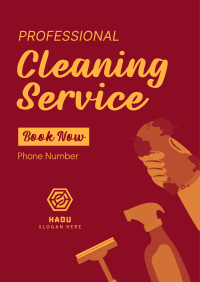 Professional Cleaner Poster Image Preview